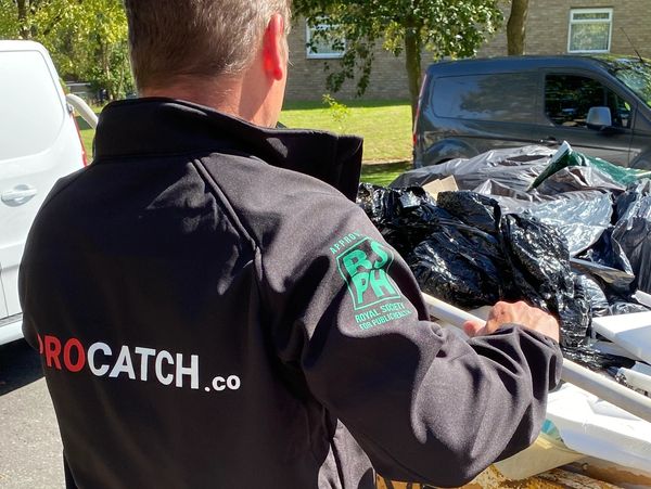 ProCatch pests elimination