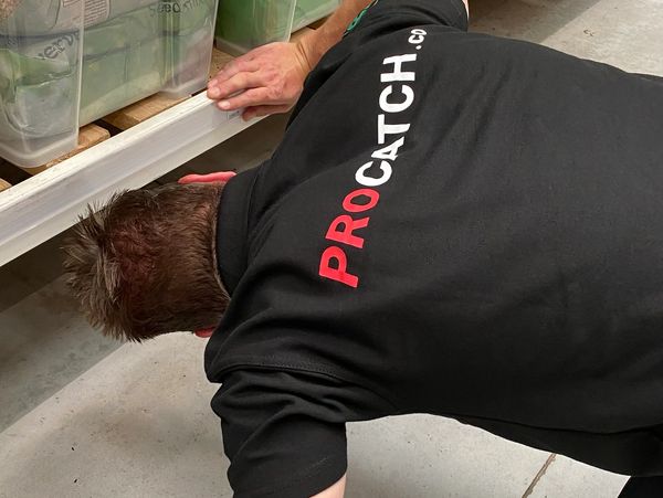 A technician on the floor looking under furniture