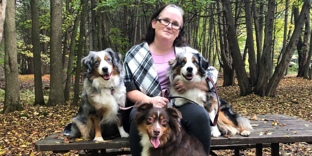 Just 4 Paws Miniature American Shepherds