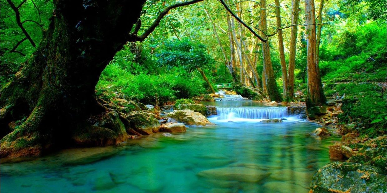 Bath in A forest River
