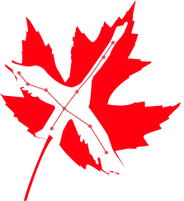 Cygnus Canadian Immigration