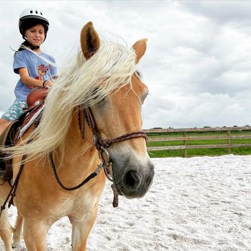 Saturday Horse Camp