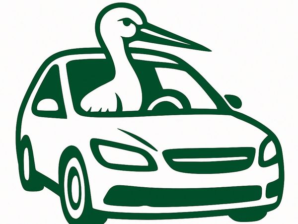 “Leylek Taksi sürücüsü güler yüzle müşterisini karşılıyor  profesyonel, güvenli ve konforlu yolculuk