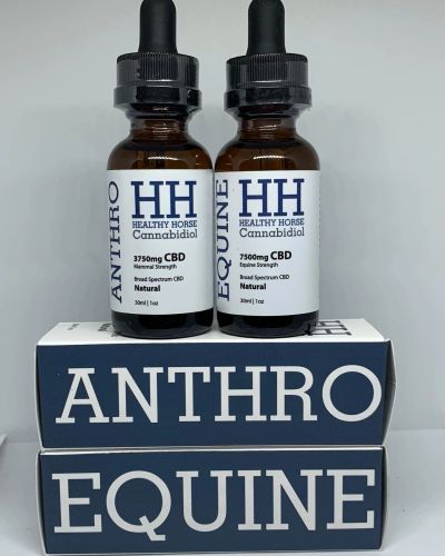 Two bottles of Healthy Horse Cannabidiol on boxes labeled ANTHRO and EQUINE.