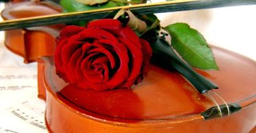 A violin with a rose, resting on sheet music