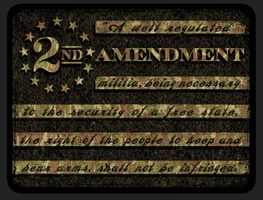 Maryland Defense Group, LLC