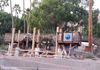 Phoenician Resort Treehouse during Construction