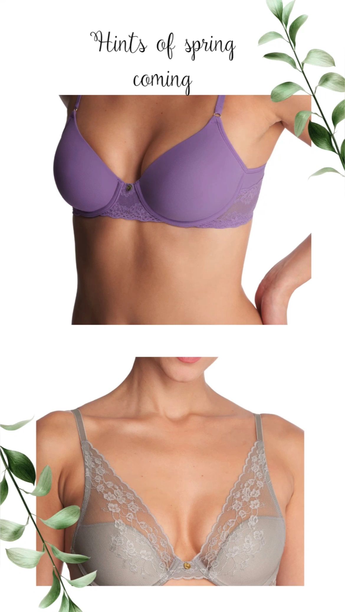 Cornwall NY Bra Fitting Virtual Appointments