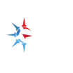 EDS Solutions