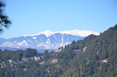 himalayan trek dalhousie