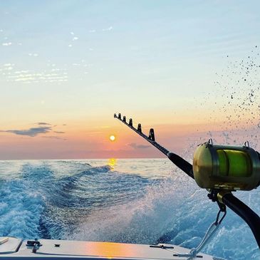 okuma dead eye walleye trolling rods Classic “A” Spinning Rod | DEC-S-661MFTa ton carbon blanks bags Style:28