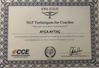 NLP Techniques for Coaches eğitimi sertifikası (CCE – Continuing Coach Education) – Ayça Aytaç