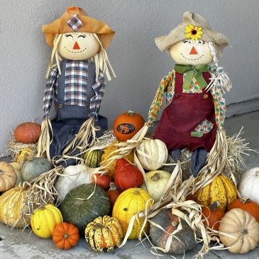 Two scarecrow dolls with various pumpkins and gourds.