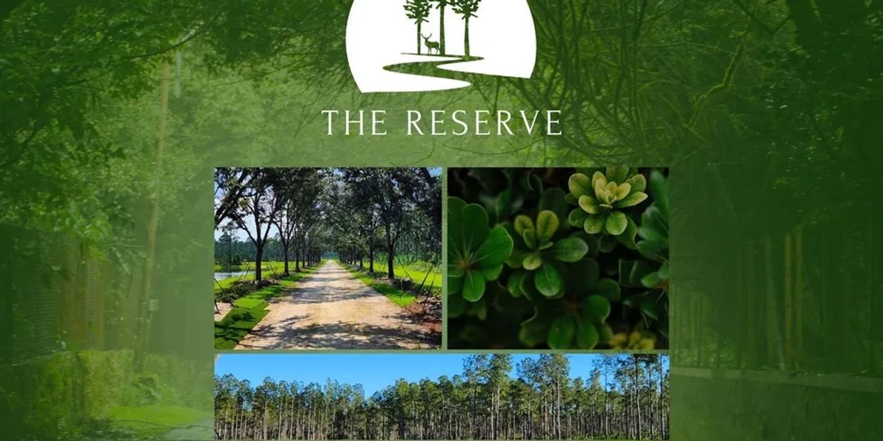 A promotional collage for The Reserve showcasing lush greenery and forest pathways.