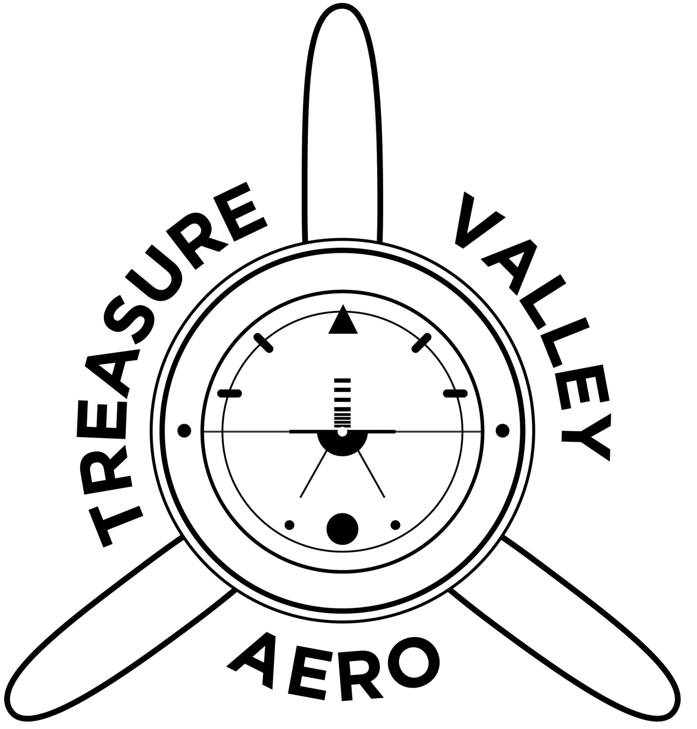 Avionics