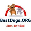 BestDogs logo