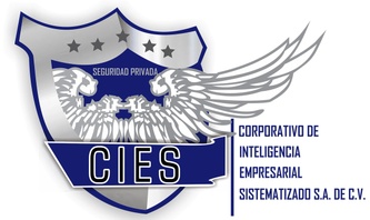 cies-seguridd.com