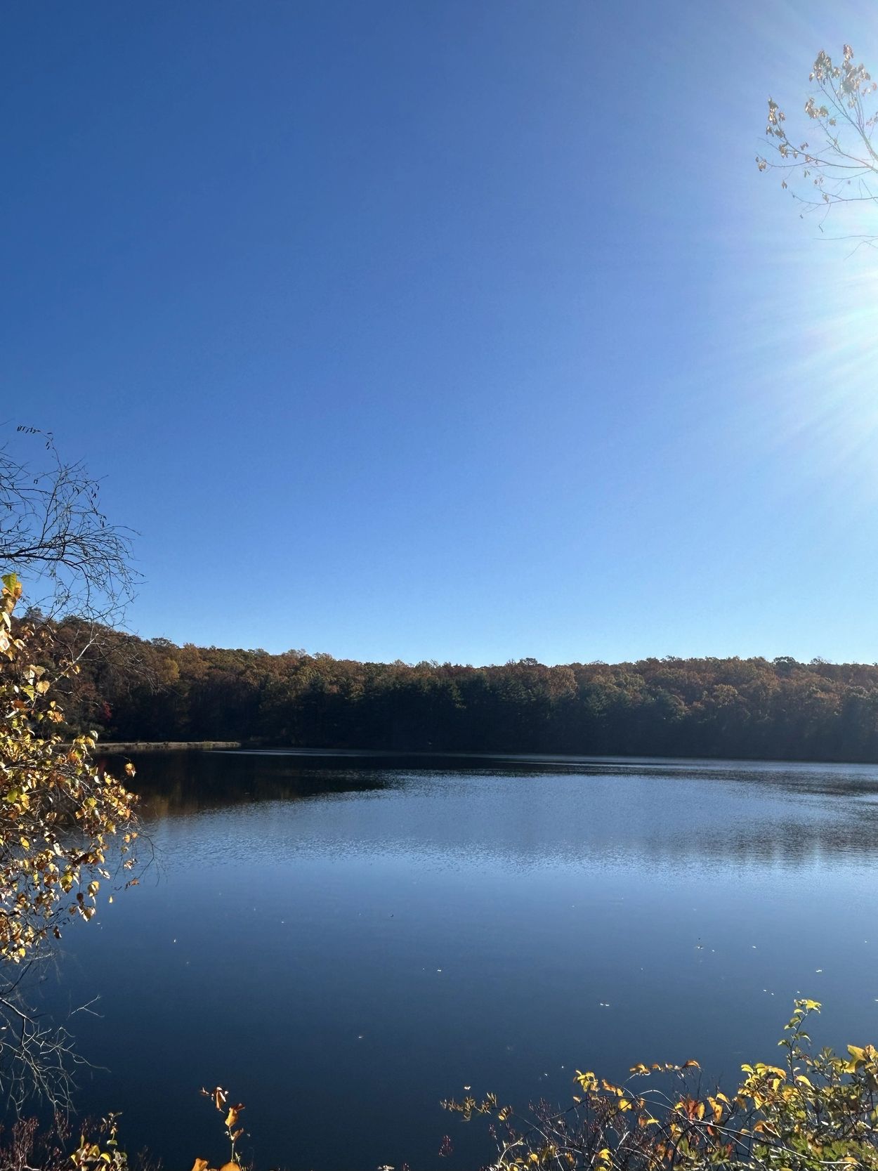 Reservoir Fall Foliage