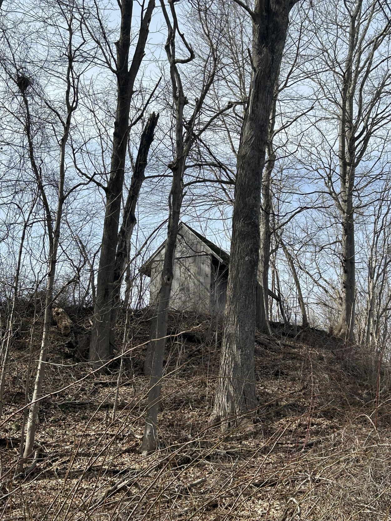 Shack on hill