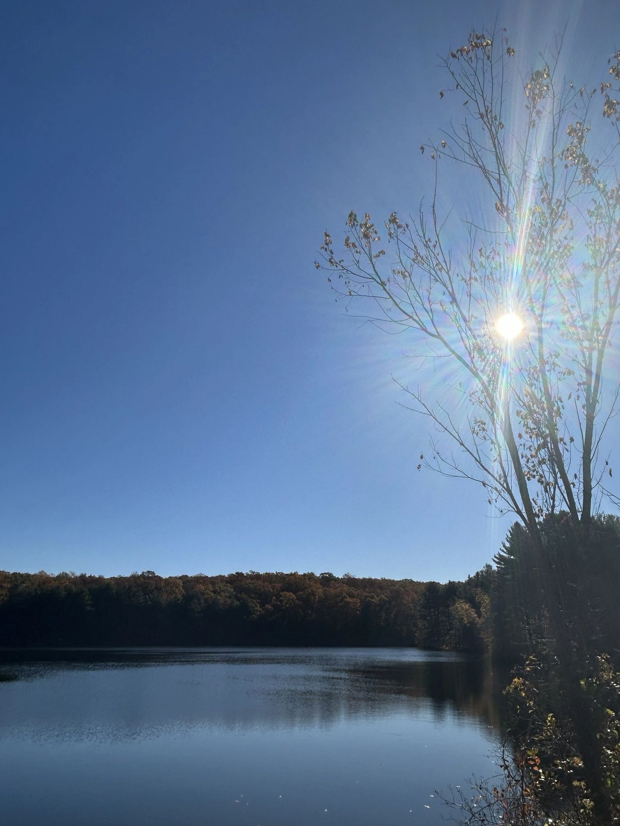 October Morning Walk at the Reservoir 