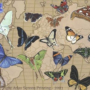 Adult Tee 2XL Butterflies of the World TDG