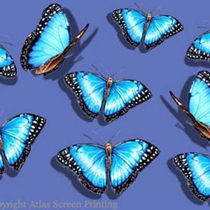 Youth Sm Morpho Glitter Shirt