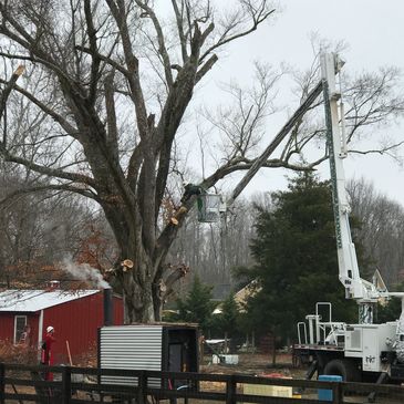 Hanover Pruning And Hardscapes Inc Tree Service Patio Service