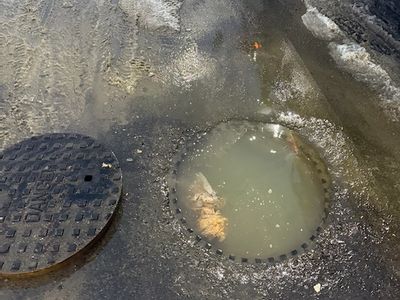 Backed up sewer at commercial building in Belleville, Ont