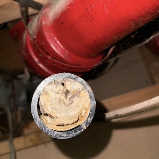 Clocked kitchen drain with grease in Belleville, Ont.