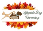 Lakeside Dog Grooming