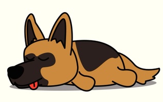 Lazy Dog Management Services, LLC.