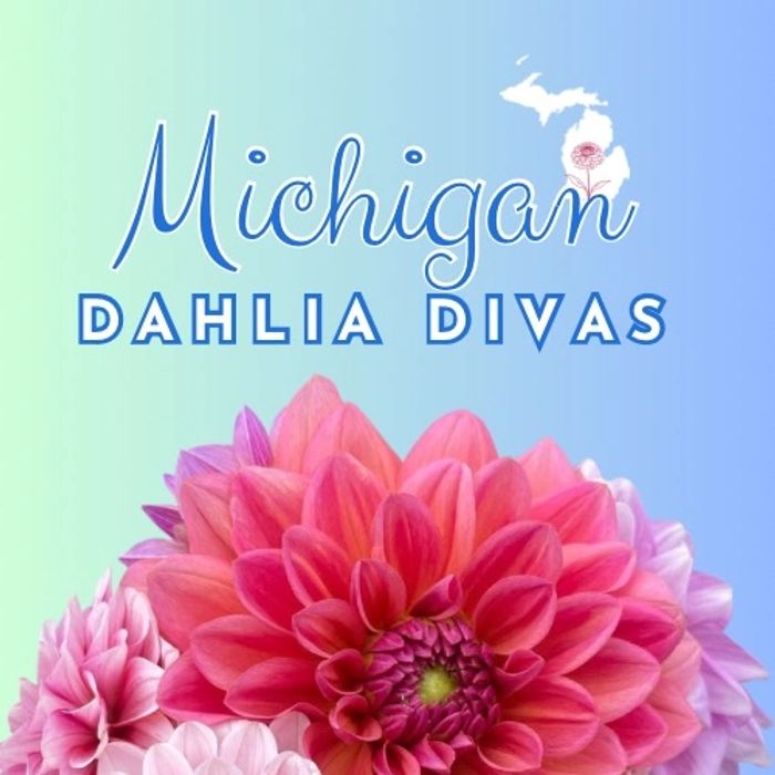 Michigan Dahlia Divas Logo