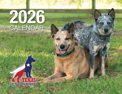 Two Texas cattle dogs on grass for 2026 calendar cover.