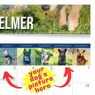 Calendar with dog pictures and a note to add your dog's picture.