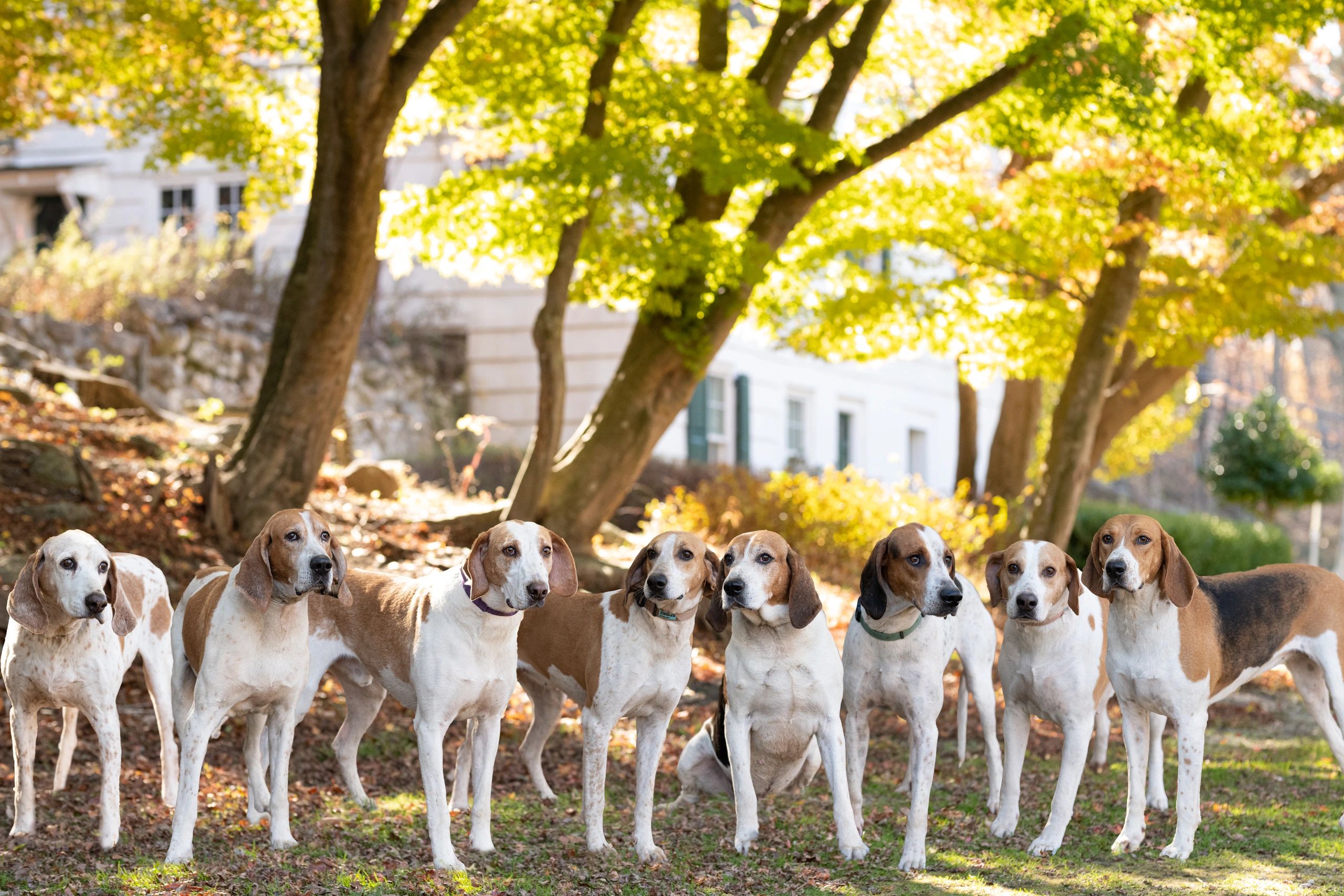 the-smithtown-hunt-home