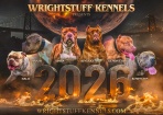 Wrightstuff Kennels 