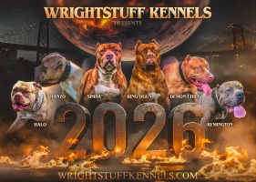Wrightstuff Kennels 