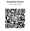 Sunshine Farms