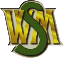 Worldwide Merchant Services, Inc. 