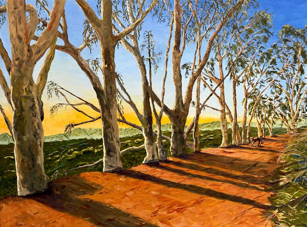 eucalyptus road, red dirt, Will Rogers Park, California, mountain lion in distance