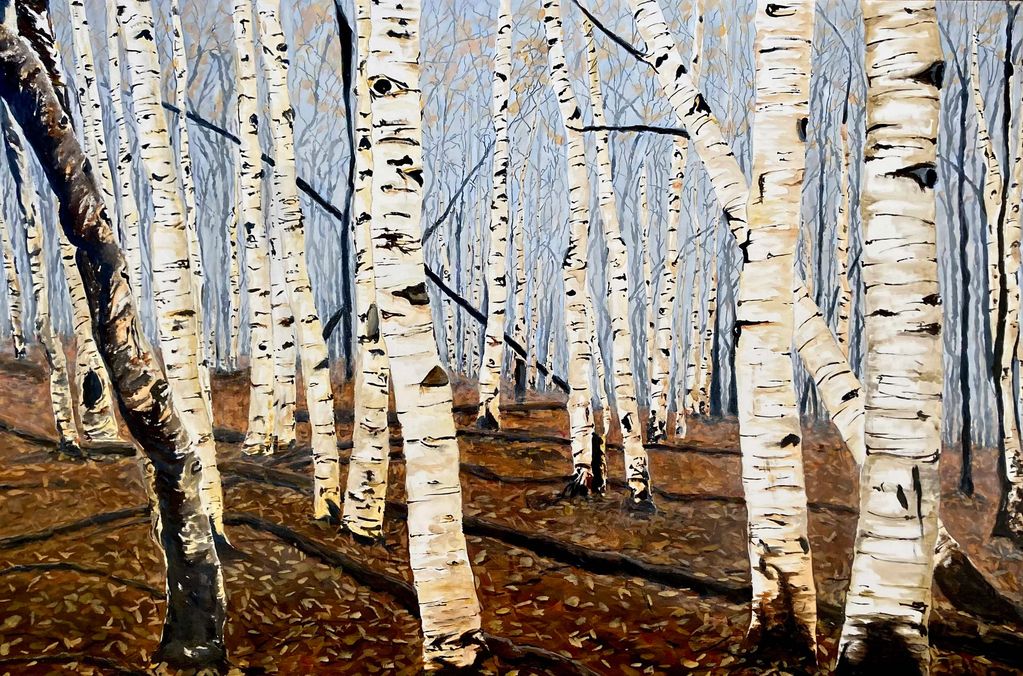 Aspens, winter, forest, cool tones, nature, trees