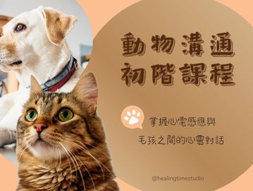 動物溝通初階