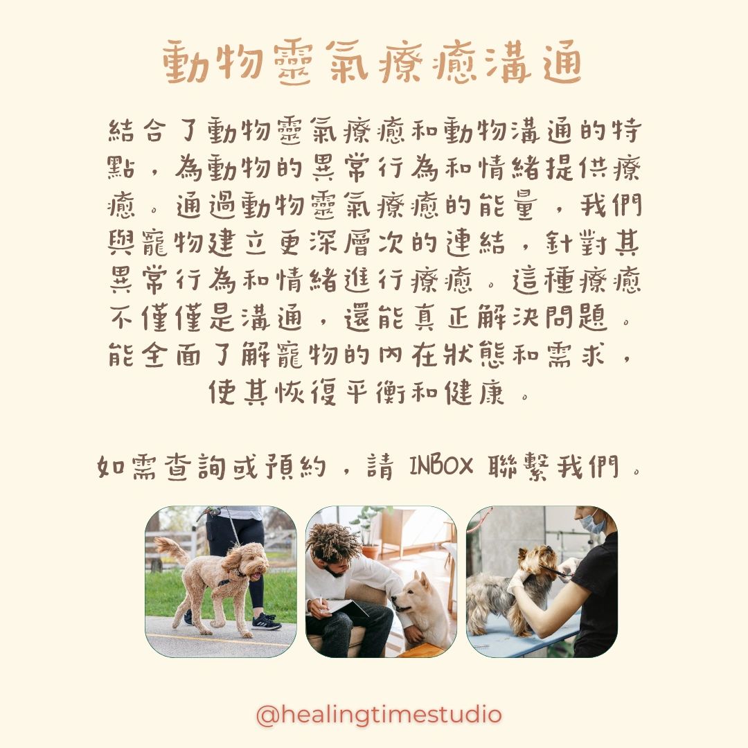 什麼是動物靈氣療癒溝通