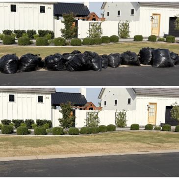 Before and after trash bags are collected from a residential curb.