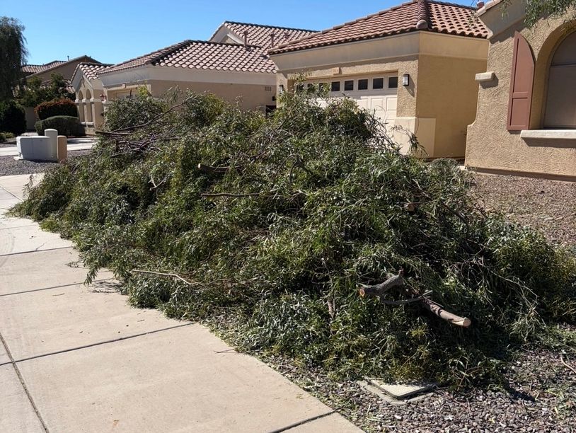Large pile of tree branches and brush
ready for yard waste removal by
DGT Junk Removal in Gilbert 