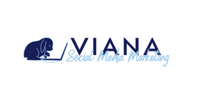 Viana nonprofit social media management