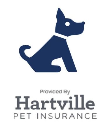 Insure the health of your dog or cat
