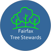 Fairfax Tree Stewards