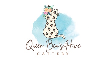 Queen Beas Hive Cattery
