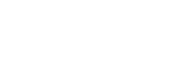 Expert SEO Solutions for Your Online Success